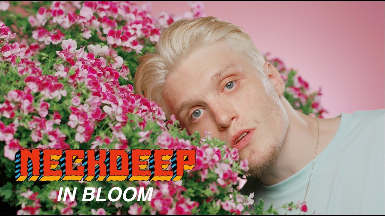 Neck Deep - In Bloom